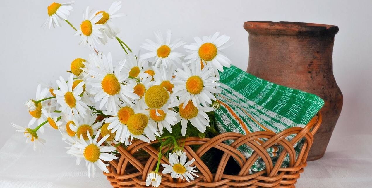 how to make a facial toner with chamomile flowers